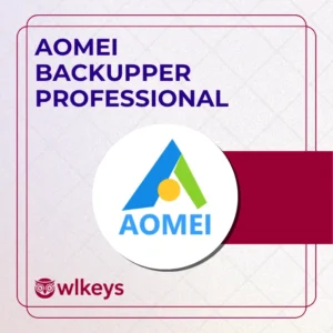 AOMEI Backupper Professional (Latest Version) – Electronic Delivery