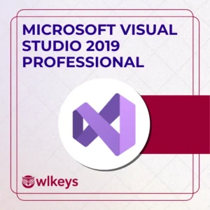 Microsoft Visual Studio 2019 Professional