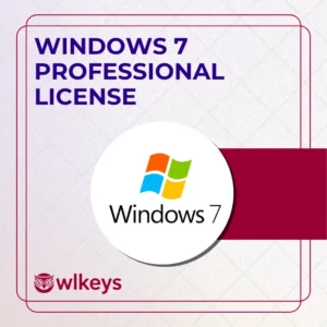 Windows 7 Professional OEM SNGL License Key (ESD)